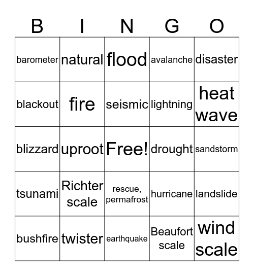 Natural Disaster Review Bingo Card