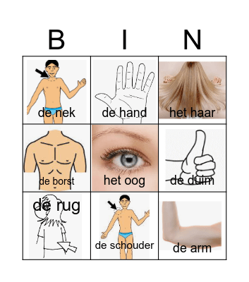 het lichaam Bingo Card