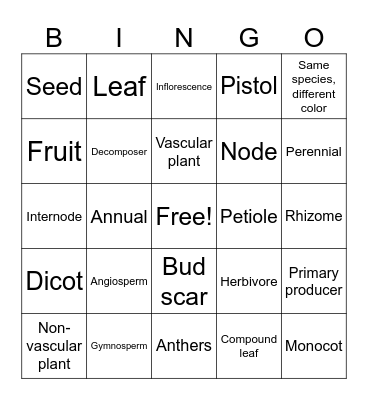 Botany Trip Bingo Card