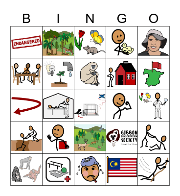 Gibbon Conservation Society Bingo Card