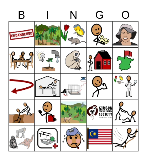 Gibbon Conservation Society Bingo Card