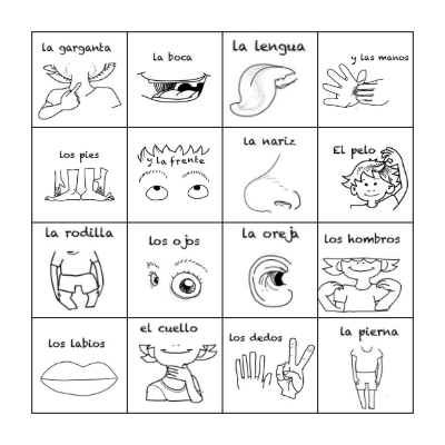 La Partes Del Cuerpo Bingo Card