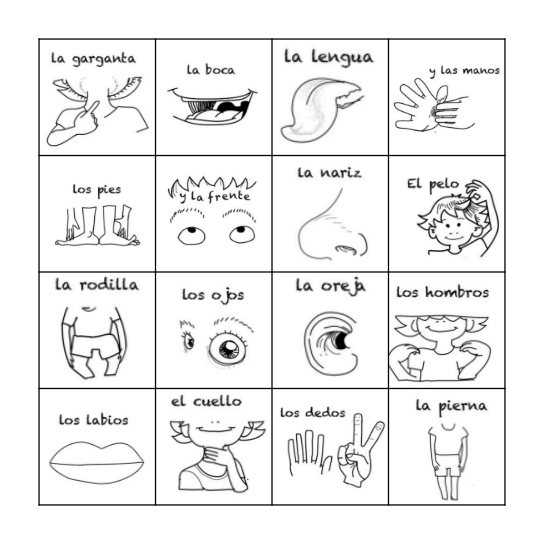 La Partes Del Cuerpo Bingo Card