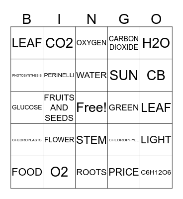 PLANT Bingo Card