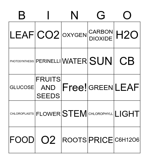 PLANT Bingo Card