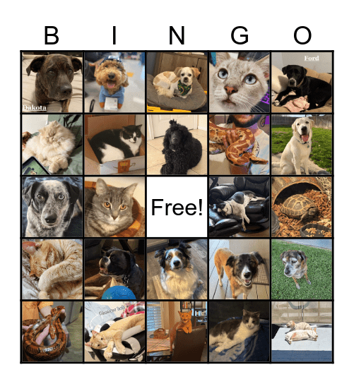 National Pet Week! Bingo Card