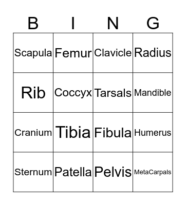 Skeletal System Bingo Card