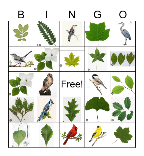 Camping Bingo Card