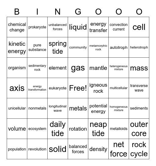 Final Exam Review Bingo Card