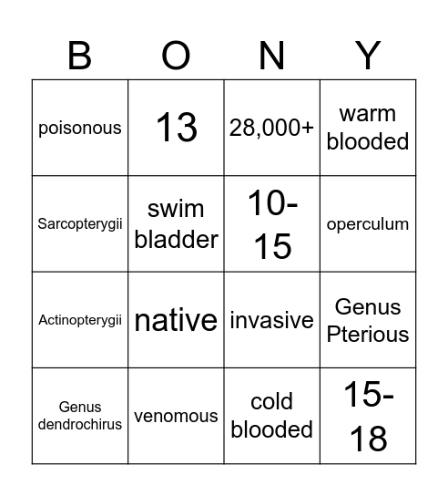 OSTEICHTHYES Bingo Card