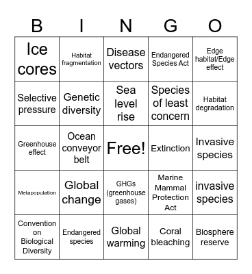 Unit 9  Vocabulary Bingo Card
