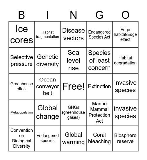 Unit 9  Vocabulary Bingo Card