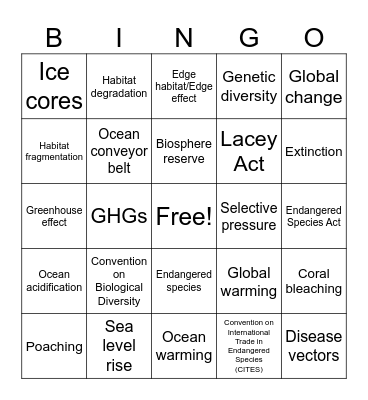 Unit 9 Vocabulary Bingo Card