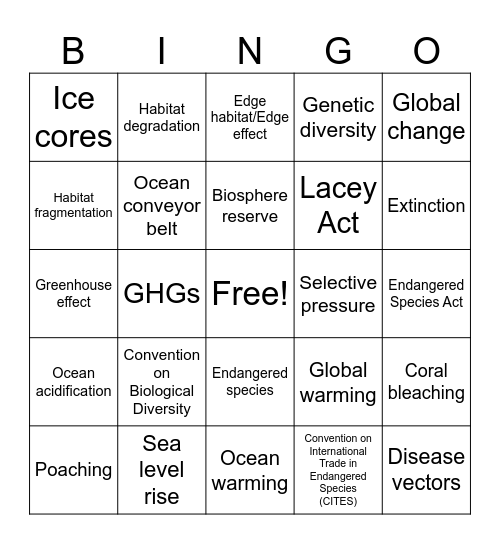 Unit 9 Vocabulary Bingo Card