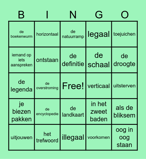 Woordenschat bingo thema 7 Bingo Card