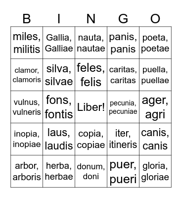 Latin Nouns Bingo Card