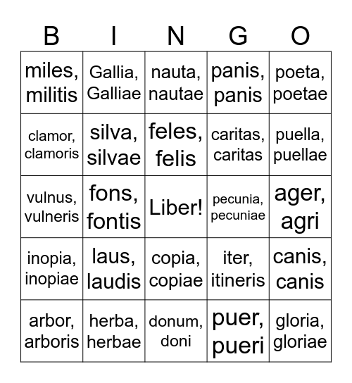 Latin Nouns Bingo Card