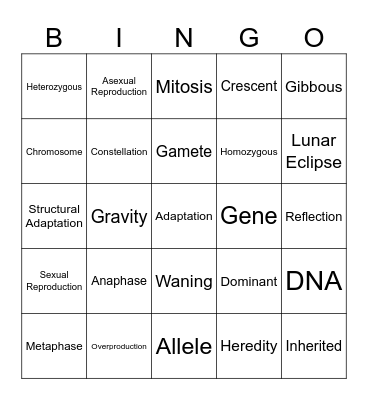 Semester Test Review Bingo Card