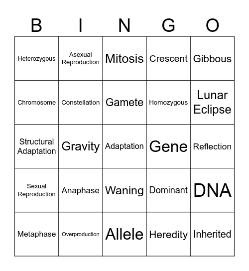 Semester Test Review Bingo Card