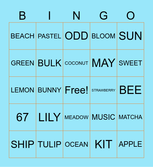 SIK Bingo Card