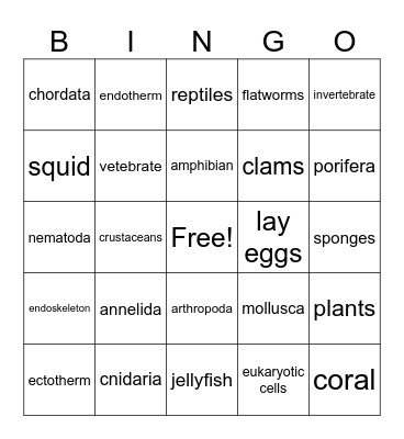 Animal Kingdom Bingo Card