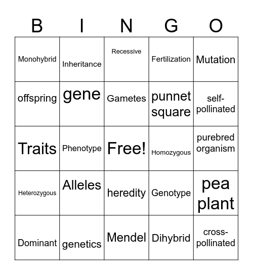 Heredity Grade 9 Science Bingo Card