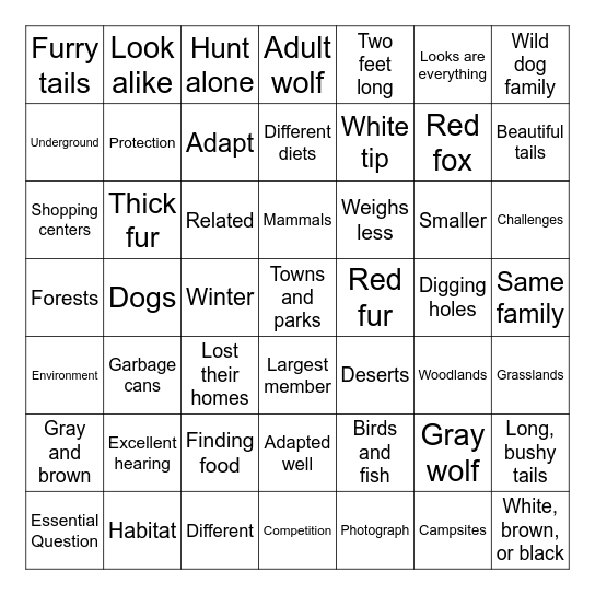 Gray Wolf! Red Fox! Bingo Card