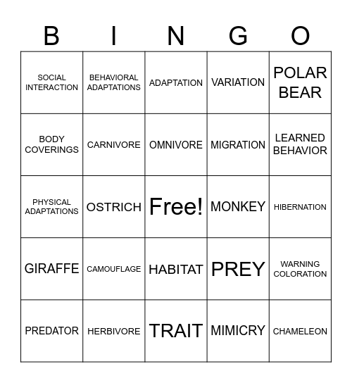 ANIMAL ADAPTATIONS BINGO Card