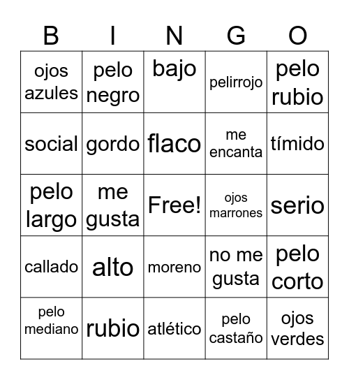 Physical Descriptions - Spanish Bingo Card