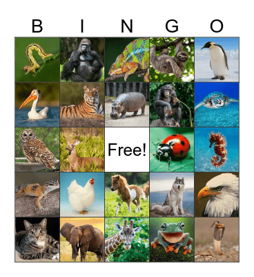 Les Animaux Bingo Card