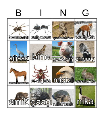Ojibwe Animal Bingo Card