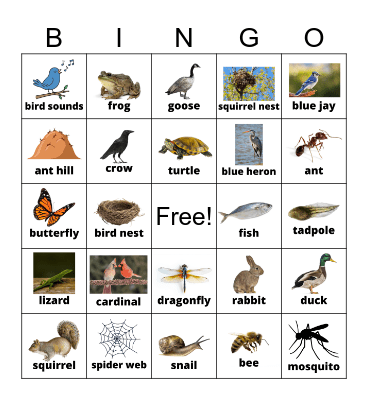 Wildlife Bingo Card
