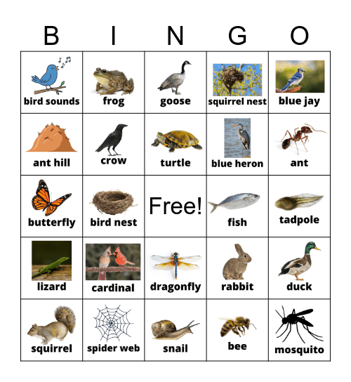 Wildlife Bingo Card
