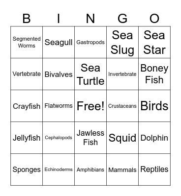 Marine Biology Bingo! Bingo Card