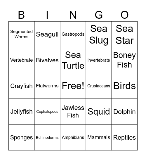 Marine Biology Bingo! Bingo Card