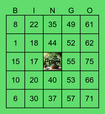 LA Origins Bonsai Bingo Card