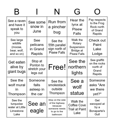 Journey to Pisew Falls Bingo Card