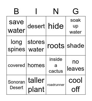 All About the Sonoran Desert Bingo Card