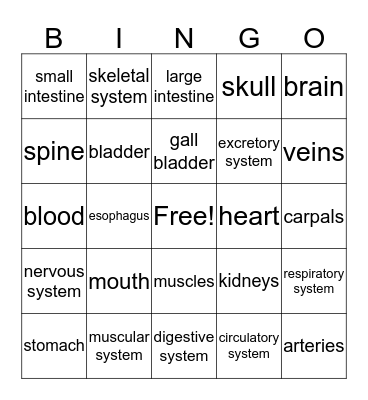 Body Systems Bingo Card