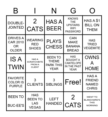 SUMMER SOCIAL Bingo Card