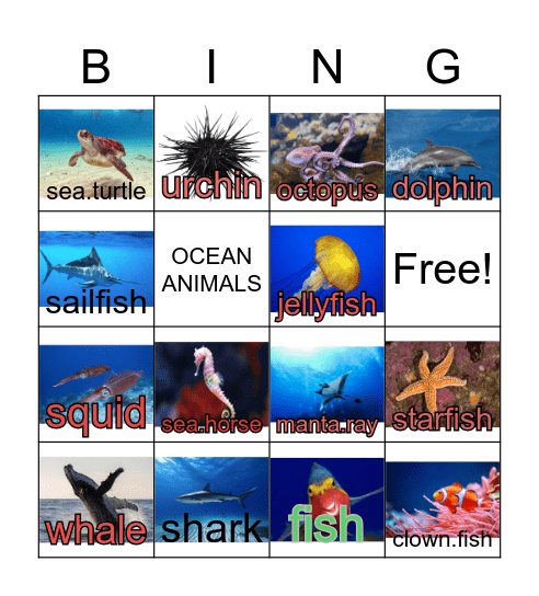 OCEAN ANIMALS Bingo Card