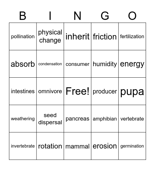 POWER 60 Words Bingo Card