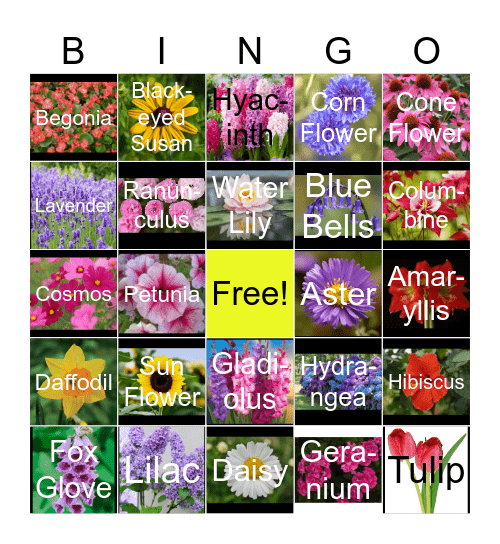 FLOWERS Bingo Card