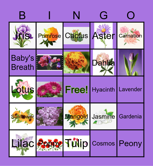 May Day! Bingo Card