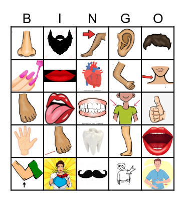 Der Körper Bingo Card