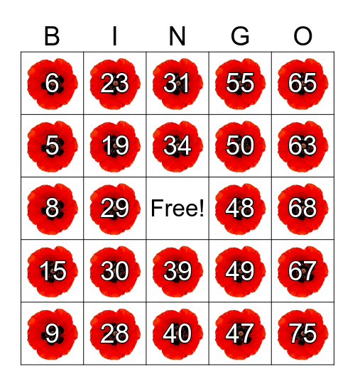 Memorial Day Bingo Card