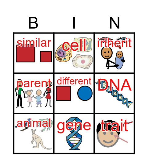 Unit 29: Why Are My Eyes Brown? Bingo Card