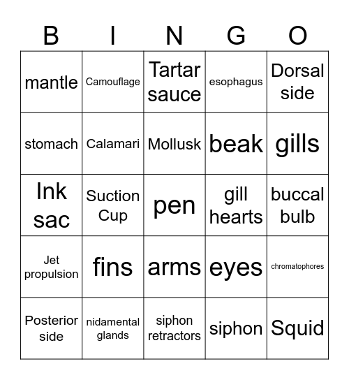 squid dissection bingo Card