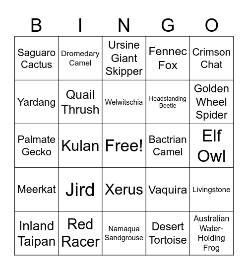 The Desert Alphabet Book Bingo Card