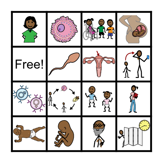 Human Life Cycle BINGO Card
